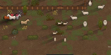 rimworld horses|rimworld best pack animal.